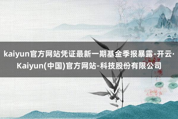kaiyun官方网站凭证最新一期基金季报暴露-开云·Kaiyun(中国)官方网站-科技股份有限公司