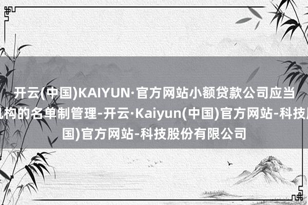 开云(中国)KAIYUN·官方网站小额贷款公司应当加强对合作机构的名单制管理-开云·Kaiyun(中国)官方网站-科技股份有限公司