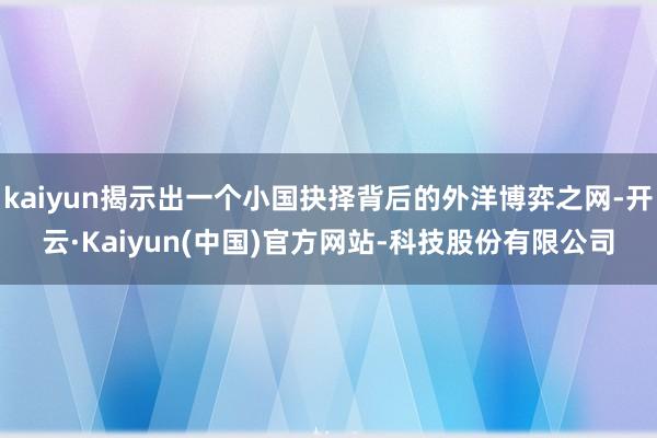 kaiyun揭示出一个小国抉择背后的外洋博弈之网-开云·Kaiyun(中国)官方网站-科技股份有限公司