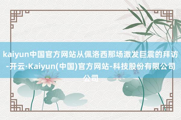 kaiyun中国官方网站从佩洛西那场激发巨震的拜访-开云·Kaiyun(中国)官方网站-科技股份有限公司